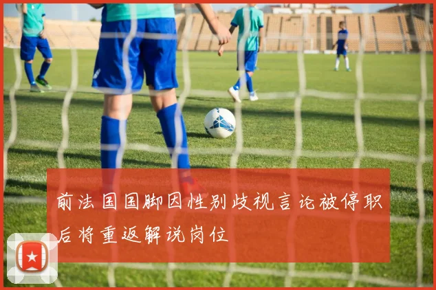 前法国国脚因性别歧视言论被停职后将重返解说岗位